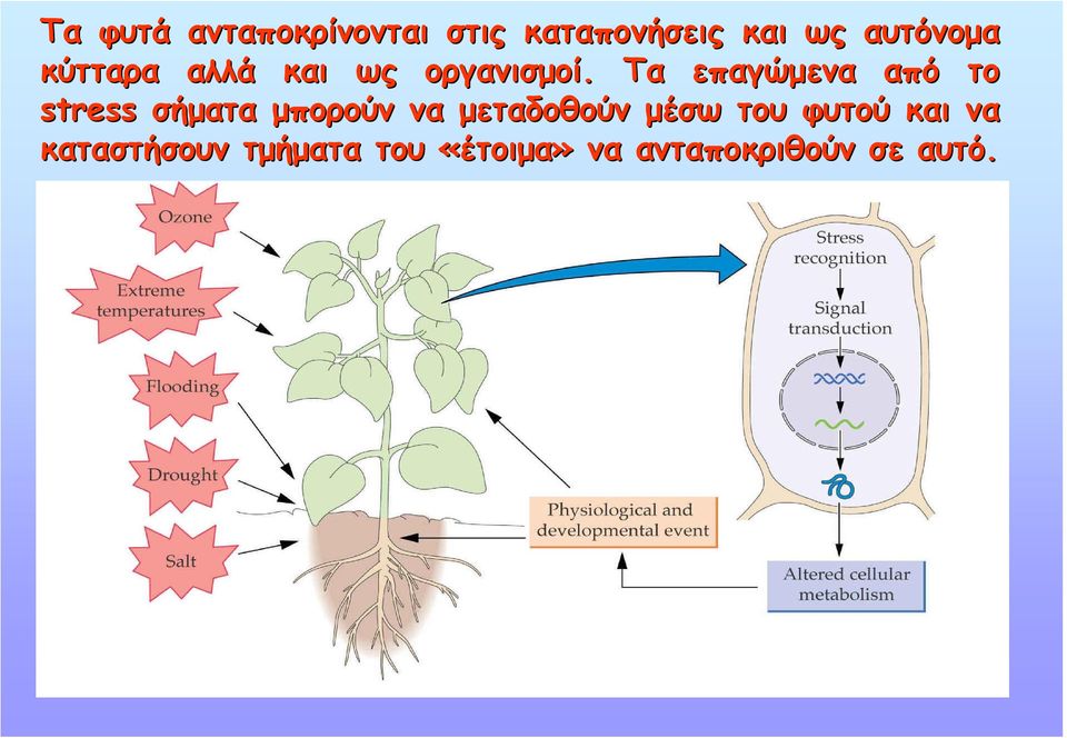 Τα επαγώµενα από το stress σήµατα µπορούν να µεταδοθούν