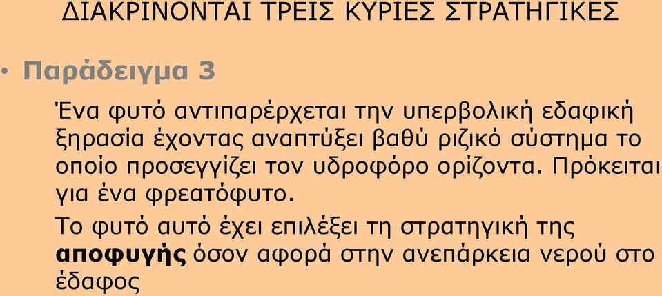 προσεγγίζει τον υδροφόρο ορίζοντα. Πρόκειται για ένα φρεατόφυτο.