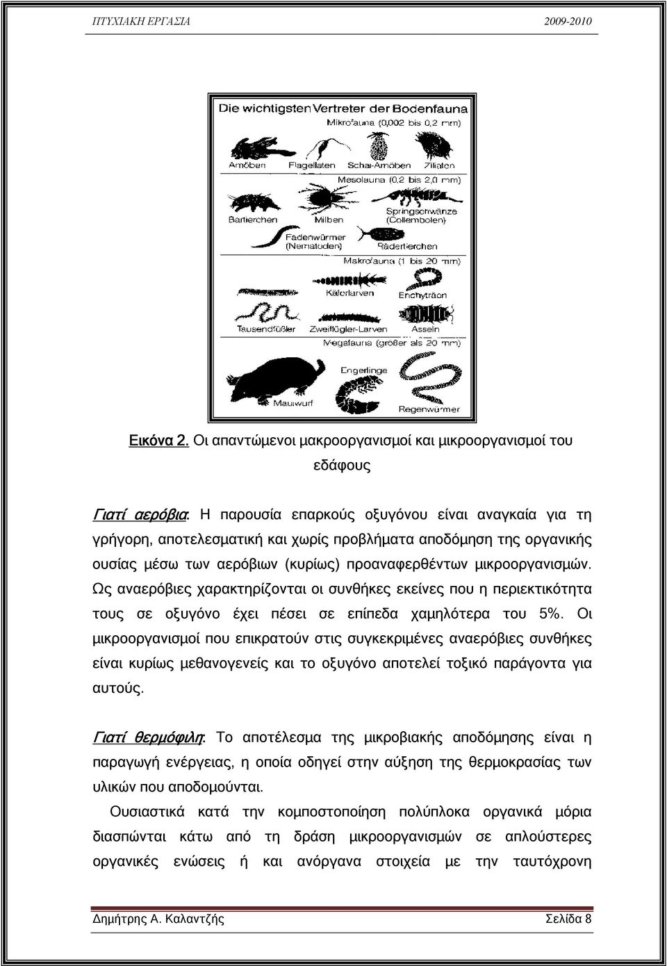 ουσίας µέσω των αερόβιων (κυρίως) προαναφερθέντων µικροοργανισµών. Ως αναερόβιες χαρακτηρίζονται οι συνθήκες εκείνες που η περιεκτικότητα τους σε οξυγόνο έχει πέσει σε επίπεδα χαµηλότερα του 5%.