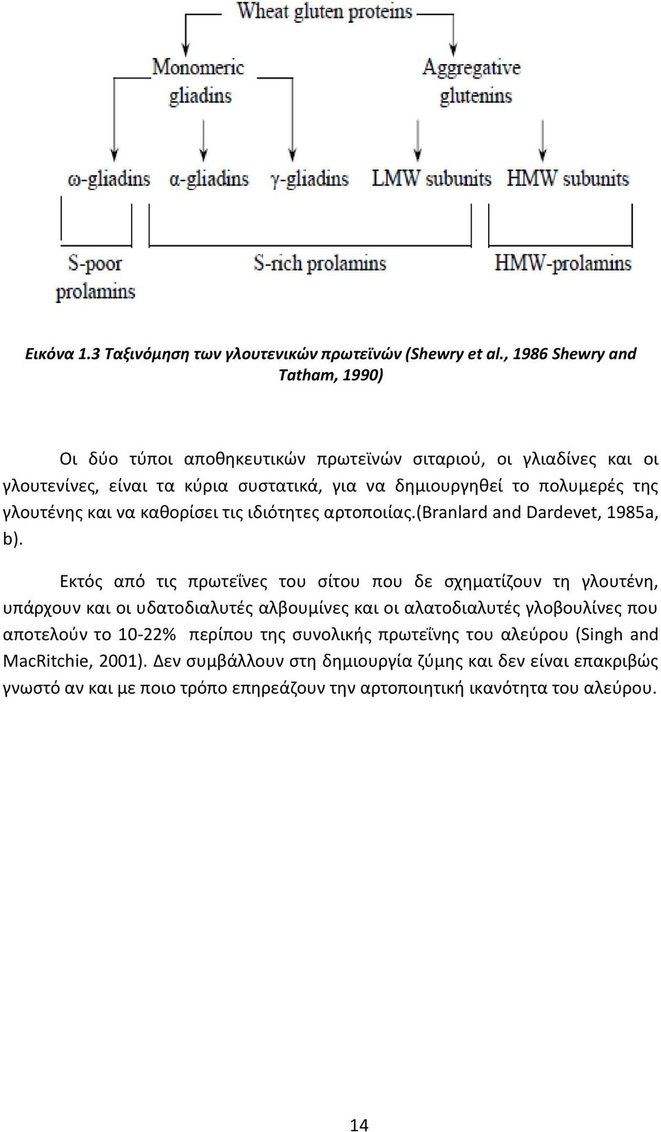 γλουτένης και να καθορίσει τις ιδιότητες αρτοποιίας.(branlard and Dardevet, 1985a, b).