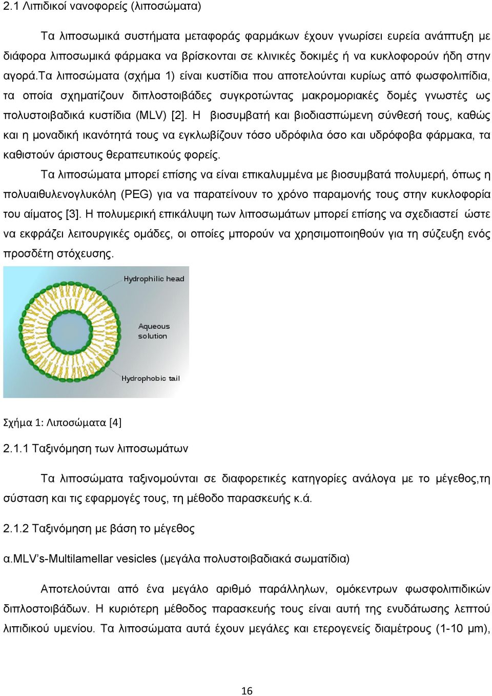 τα λιποσώματα (σχήμα 1) είναι κυστίδια που αποτελούνται κυρίως από φωσφολιπίδια, τα οποία σχηματίζουν διπλοστοιβάδες συγκροτώντας μακρομοριακές δομές γνωστές ως πολυστοιβαδικά κυστίδια (MLV) [2].