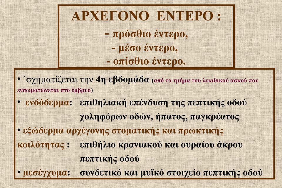 ενδόδερμα: επιθηλιακή επένδυση της πεπτικής οδού χοληφόρων οδών, ήπατος, παγκρέατος εξώδερμα