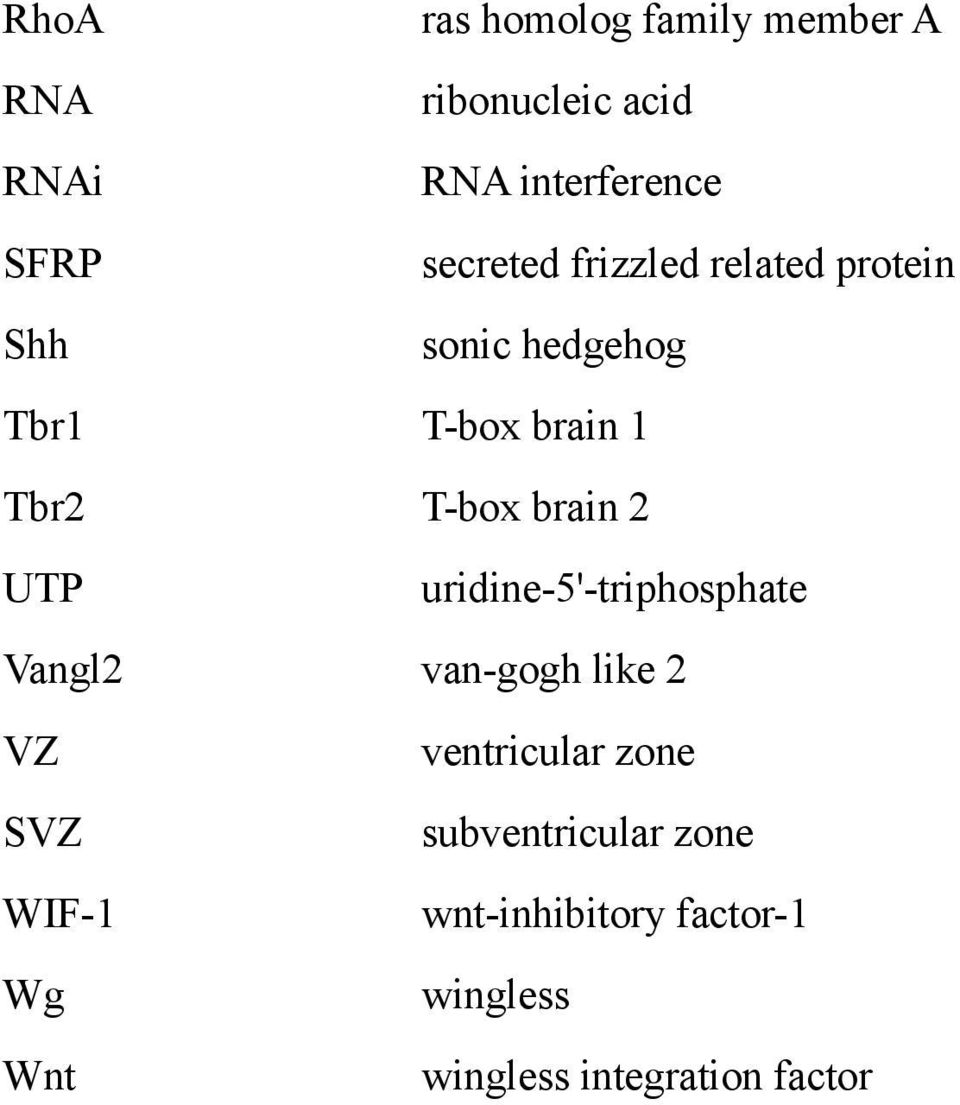 brain 2 UTP uridine-5'-triphosphate Vangl2 van-gogh like 2 VZ ventricular zone SVZ