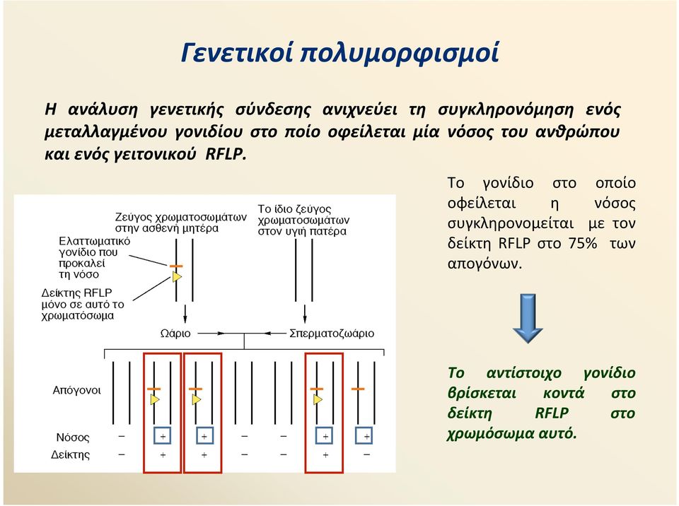 RFLP. Το γονίδιο στο οποίο οφείλεται η νόσος συγκληρονομείται με τον δείκτη RFLP στο