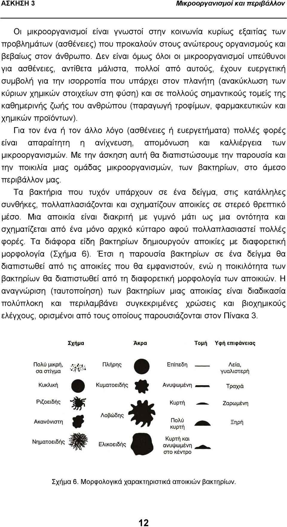 στοιχείων στη φύση) και σε πολλούς σημαντικούς τομείς της καθημερινής ζωής του ανθρώπου (παραγωγή τροφίμων, φαρμακευτικών και χημικών προϊόντων).