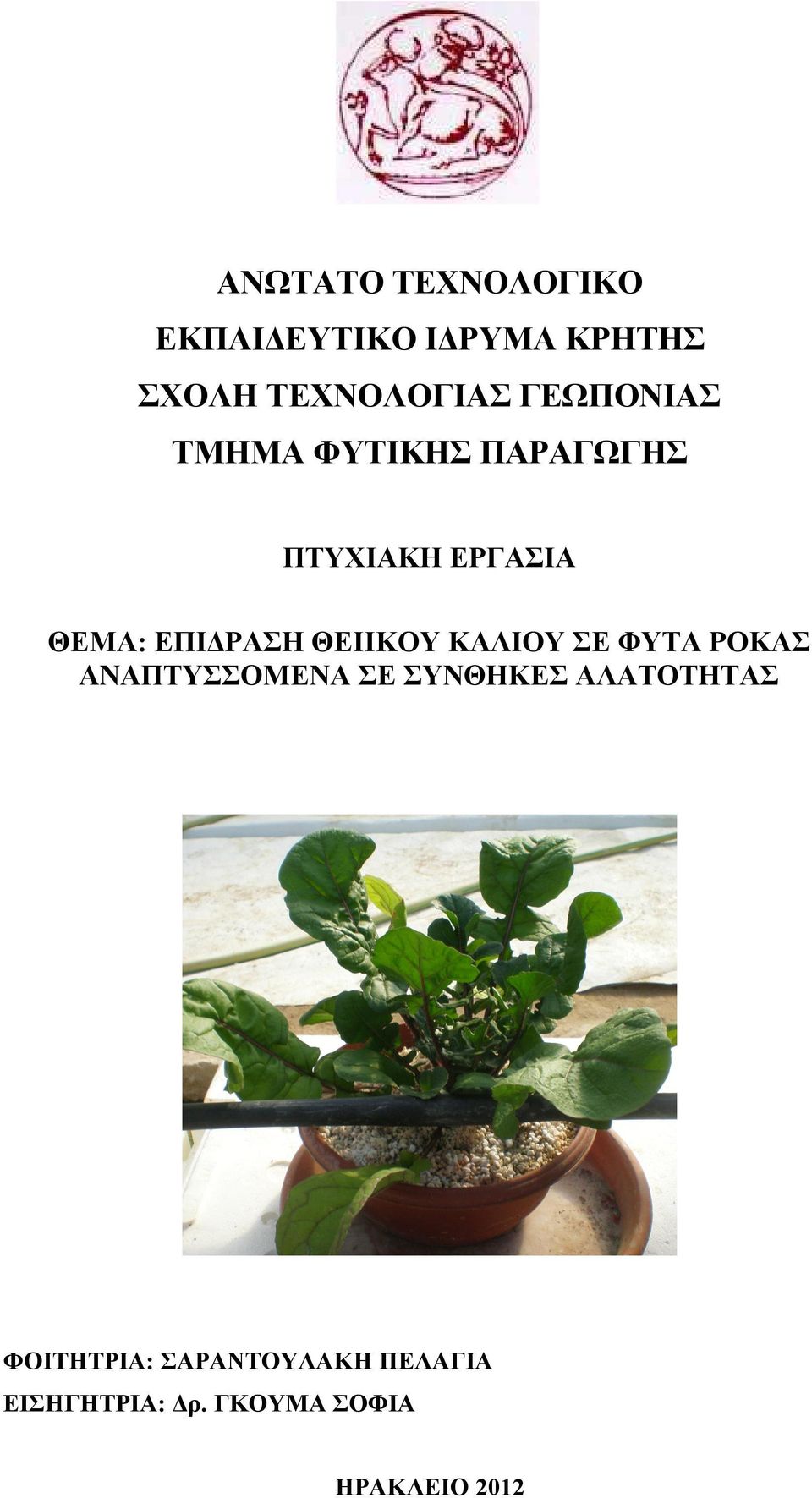 ΘΕΙΙΚΟΥ ΚΑΛΙΟΥ ΣΕ ΦΥΤΑ ΡΟΚΑΣ ΑΝΑΠΤΥΣΣΟΜΕΝΑ ΣΕ ΣΥΝΘΗΚΕΣ ΑΛΑΤΟΤΗΤΑΣ