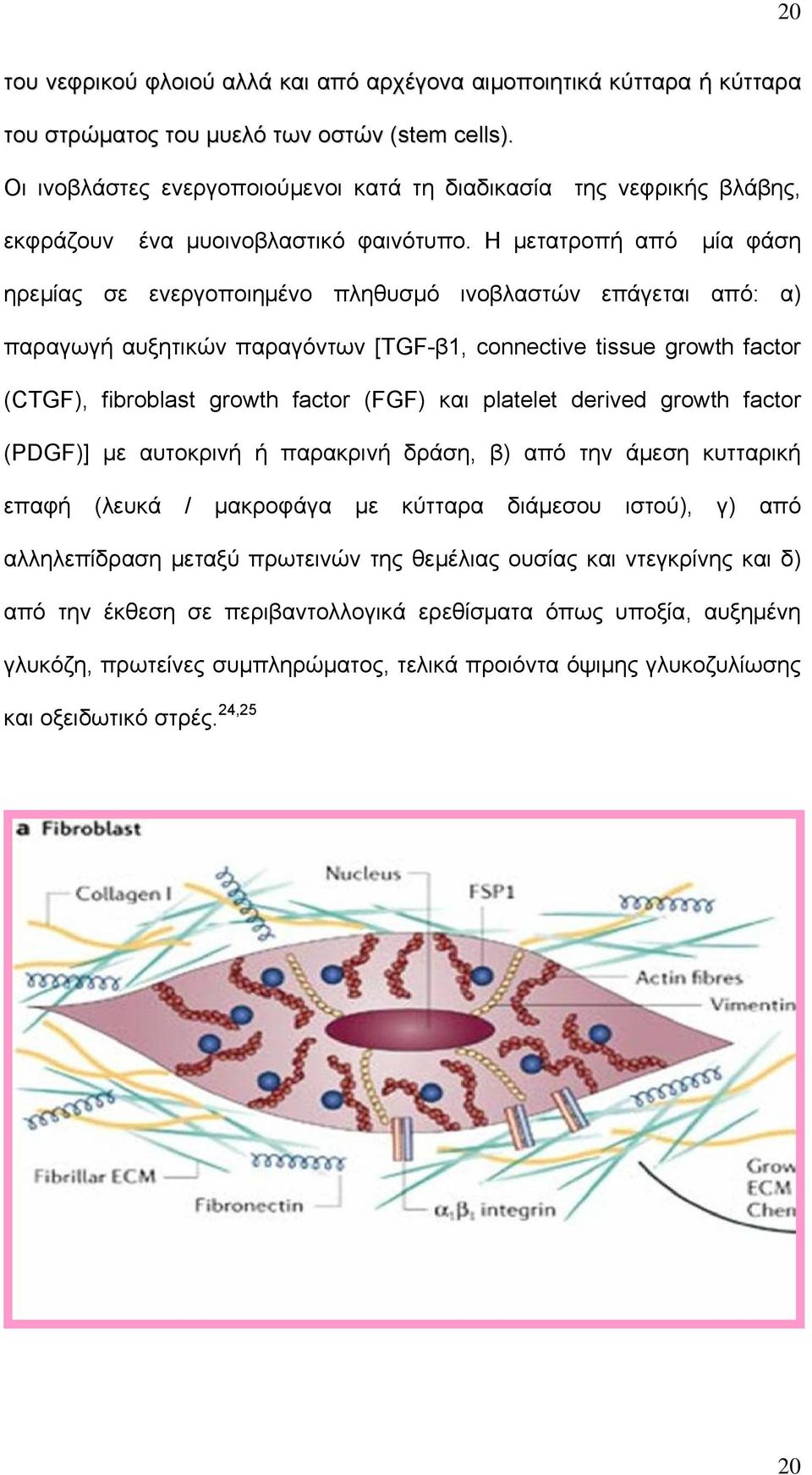 Η μετατροπή από μία φάση ηρεμίας σε ενεργοποιημένο πληθυσμό ινοβλαστών επάγεται από: α) παραγωγή αυξητικών παραγόντων [TGF-β1, connective tissue growth factor (CTGF), fibroblast growth factor (FGF)