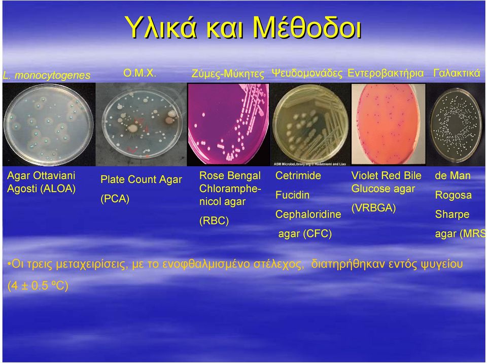 (PCA) Rose Bengal Chloramphenicol agar (RBC) Cetrimide Fucidin Cephaloridine agar (CFC) Violet