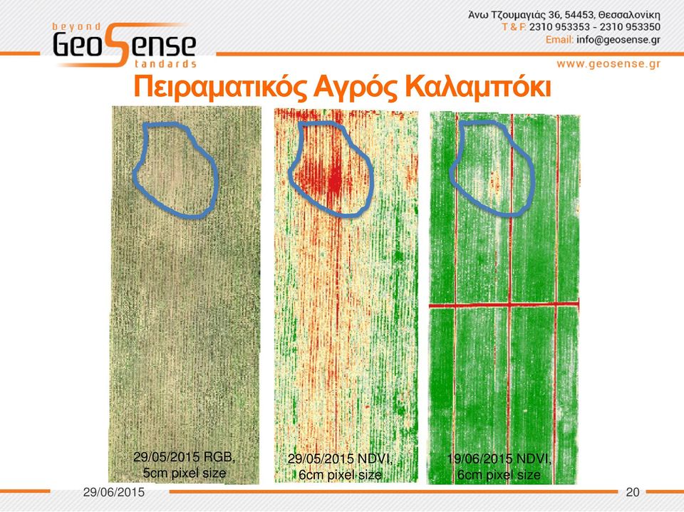 29/05/2015 NDVI, 6cm pixel size