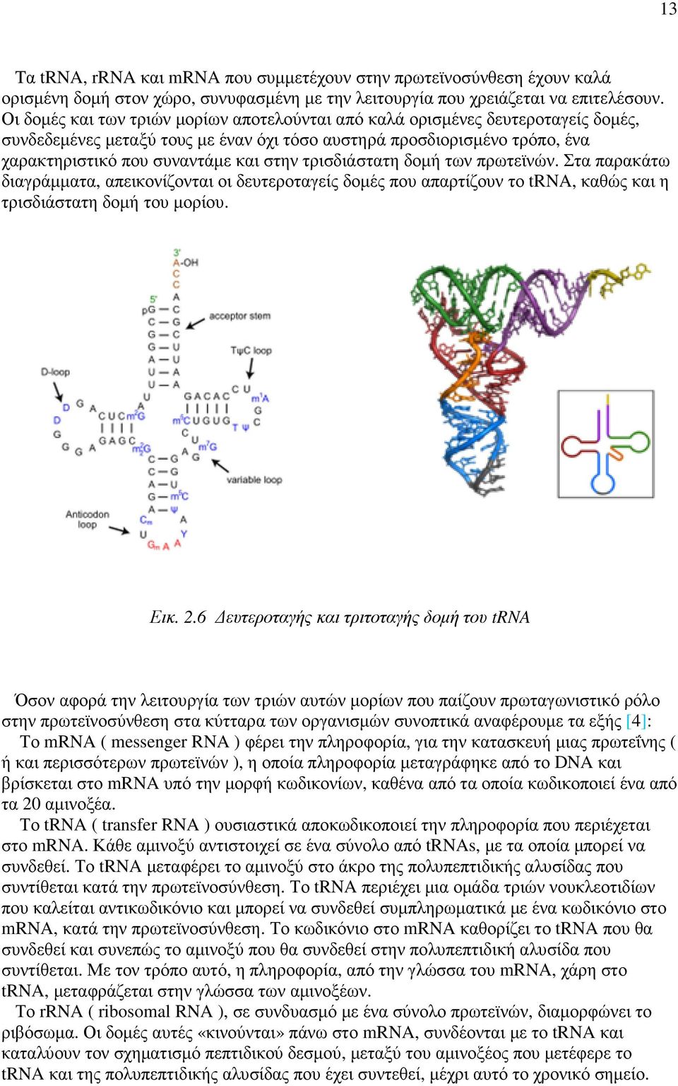 τρισδιάστατη δοµή των πρωτεϊνών. Στα παρακάτω διαγράµµατα, απεικονίζονται οι δευτεροταγείς δοµές που απαρτίζουν το trna, καθώς και η τρισδιάστατη δοµή του µορίου. Εικ. 2.