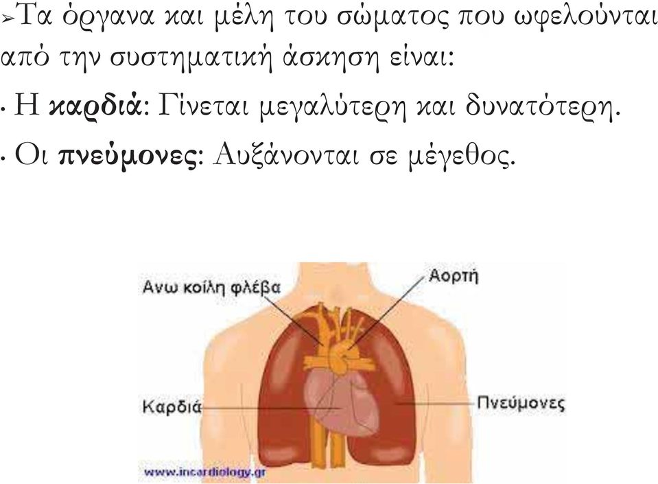 είναι: Η καρδιά: Γίνεται μεγαλύτερη και