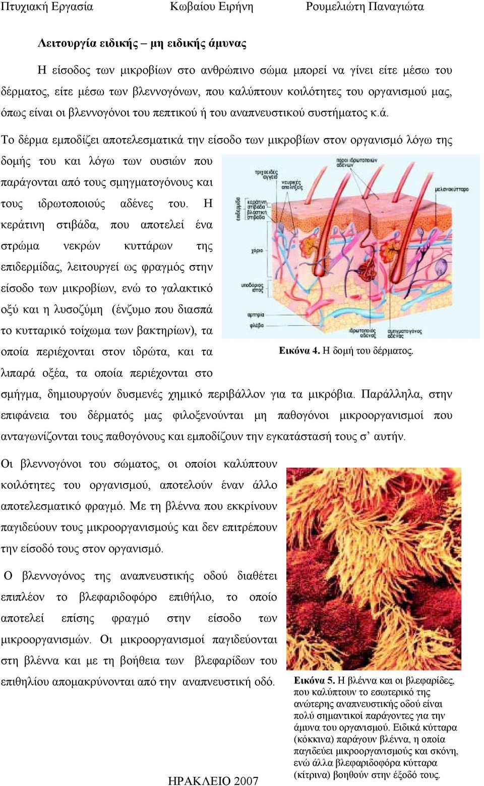 Το δέρμα εμποδίζει αποτελεσματικά την είσοδο των μικροβίων στον οργανισμό λόγω της δομής του και λόγω των ουσιών που παράγονται από τους σμηγματογόνους και τους ιδρωτοποιούς αδένες του.