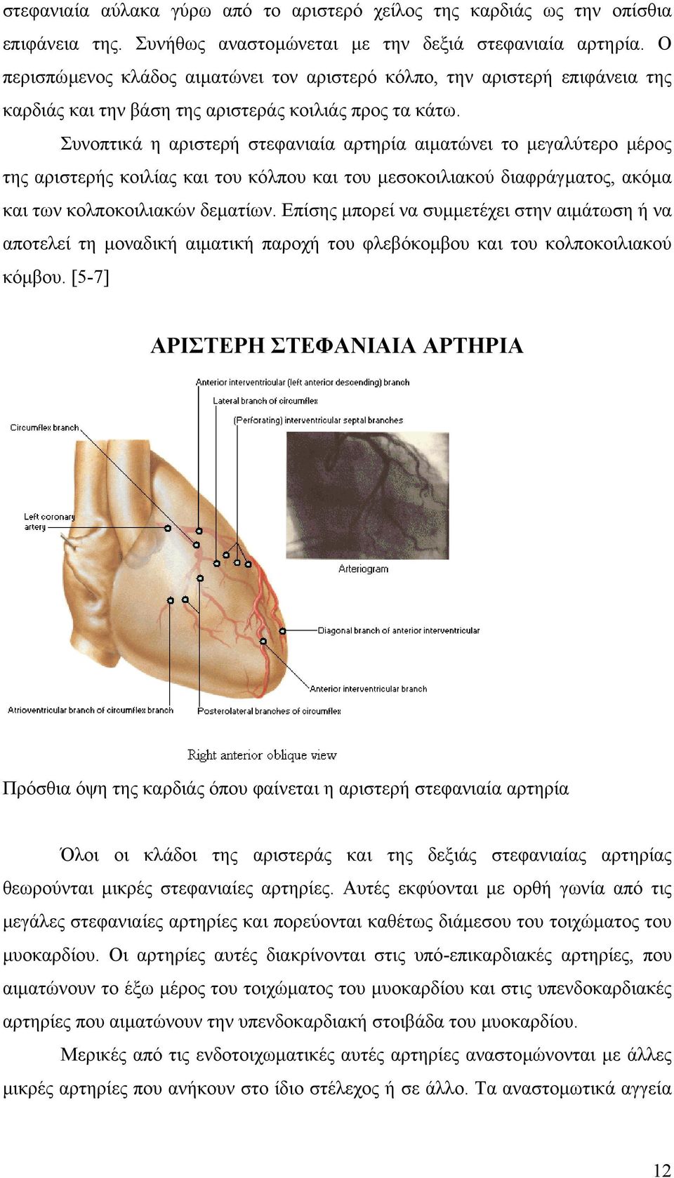 Συνοπτικά η αριστερή στεφανιαία αρτηρία αιµατώνει το µεγαλύτερο µέρος της αριστερής κοιλίας και του κόλπου και του µεσοκοιλιακού διαφράγµατος, ακόµα και των κολποκοιλιακών δεµατίων.