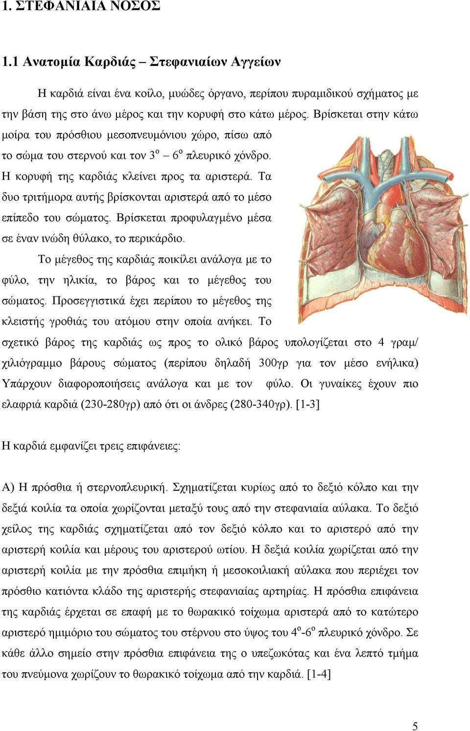 Τα δυο τριτήµορα αυτής βρίσκονται αριστερά από το µέσο επίπεδο του σώµατος. Βρίσκεται προφυλαγµένο µέσα σε έναν ινώδη θύλακο, το περικάρδιο.