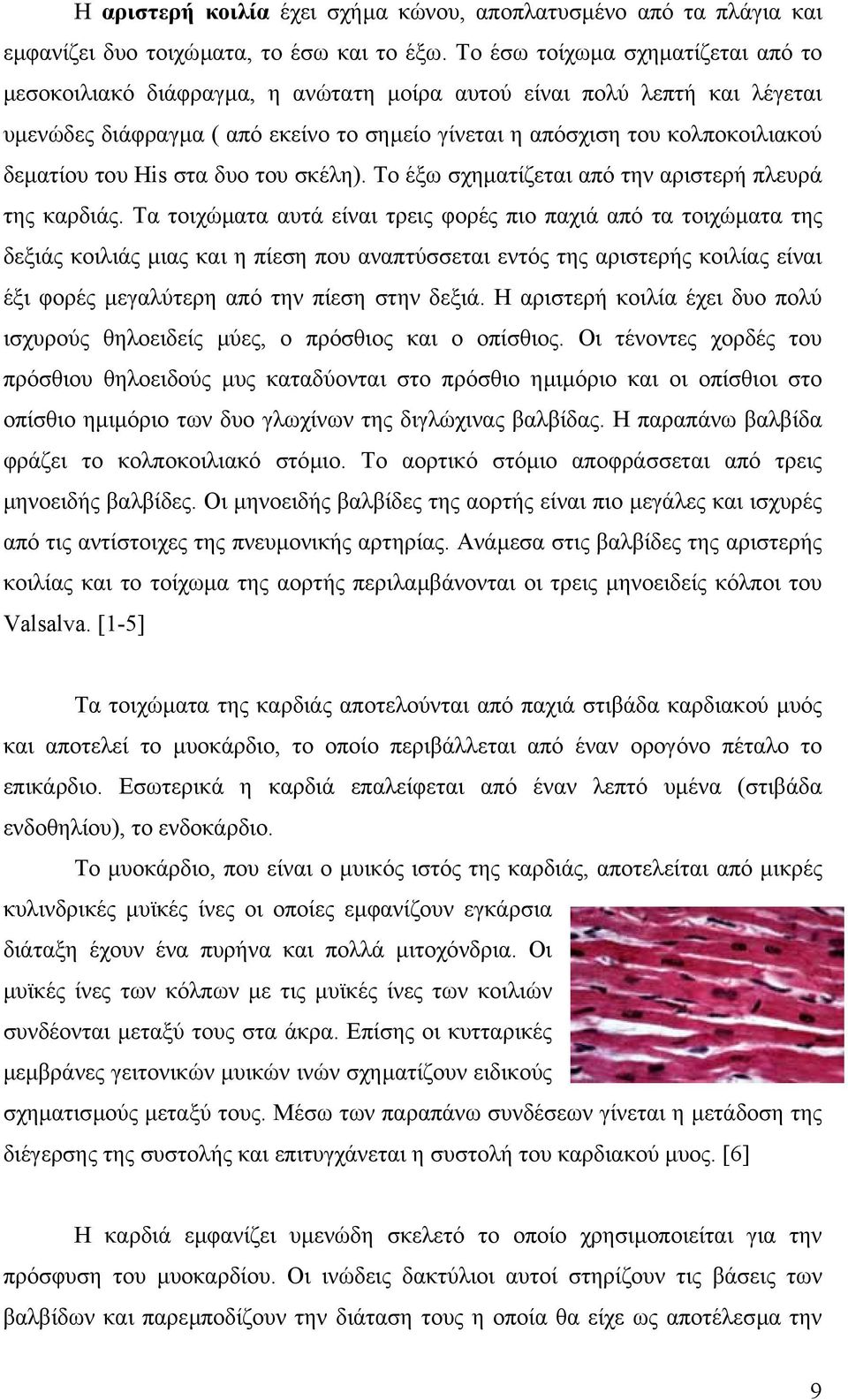 του His στα δυο του σκέλη). Το έξω σχηµατίζεται από την αριστερή πλευρά της καρδιάς.