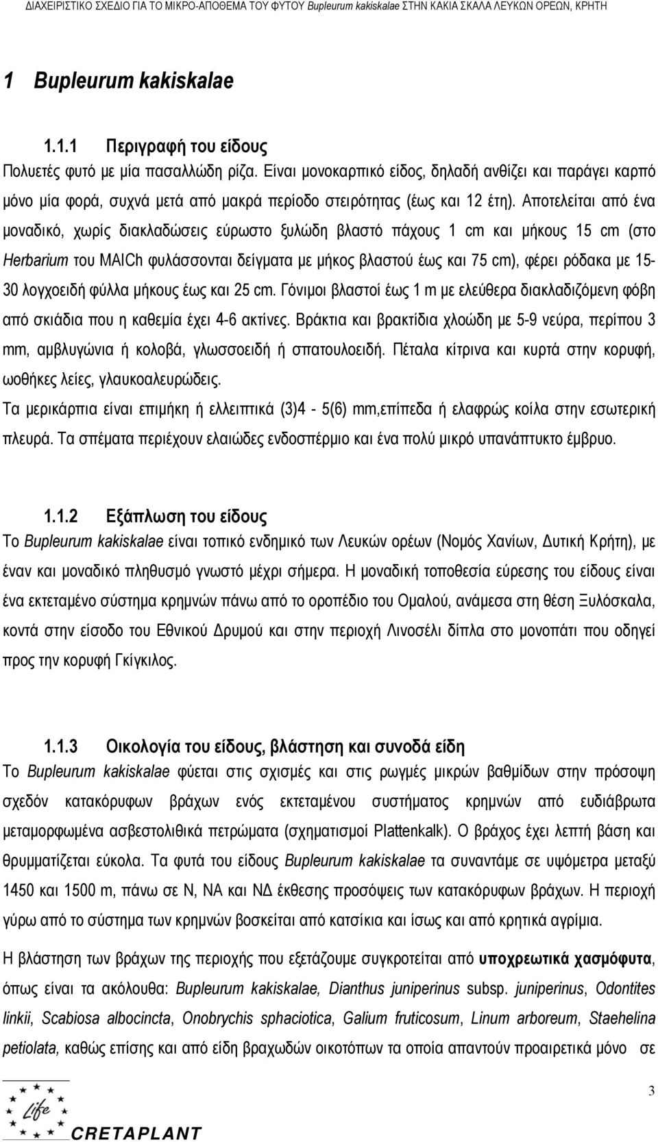 Αποτελείται από ένα μοναδικό, χωρίς διακλαδώσεις εύρωστο ξυλώδη βλαστό πάχους 1 cm και μήκους 15 cm (στο Herbarium του MAICh φυλάσσονται δείγματα με μήκος βλαστού έως και 75 cm), φέρει ρόδακα με