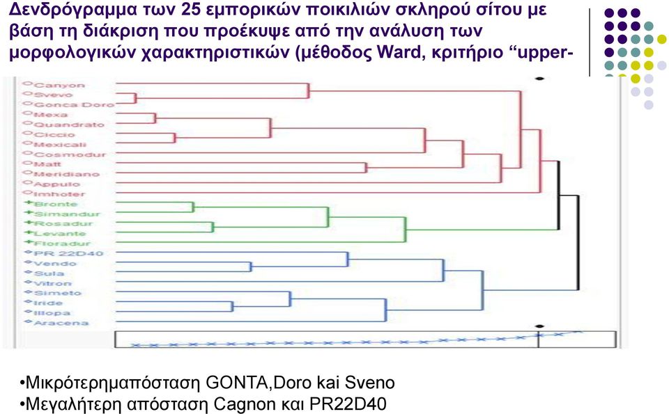 χαρακτηριστικών (μέθοδος Ward, κριτήριο uppertail για α=0,10)