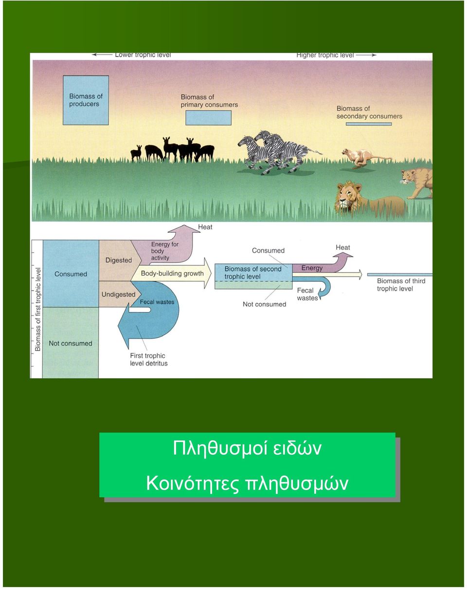 Κοινότητες