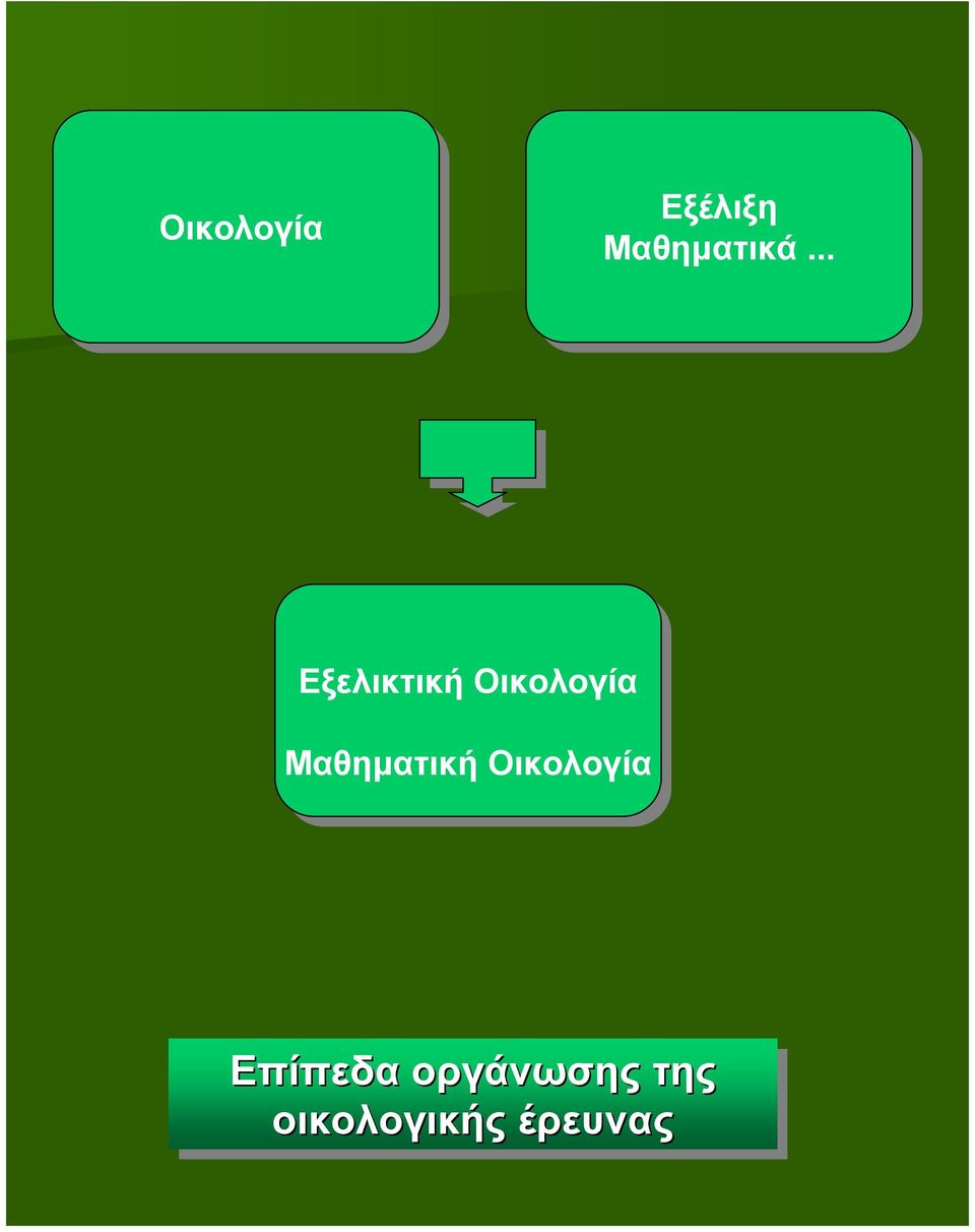 Μαθηματική Οικολογία Επίπεδα