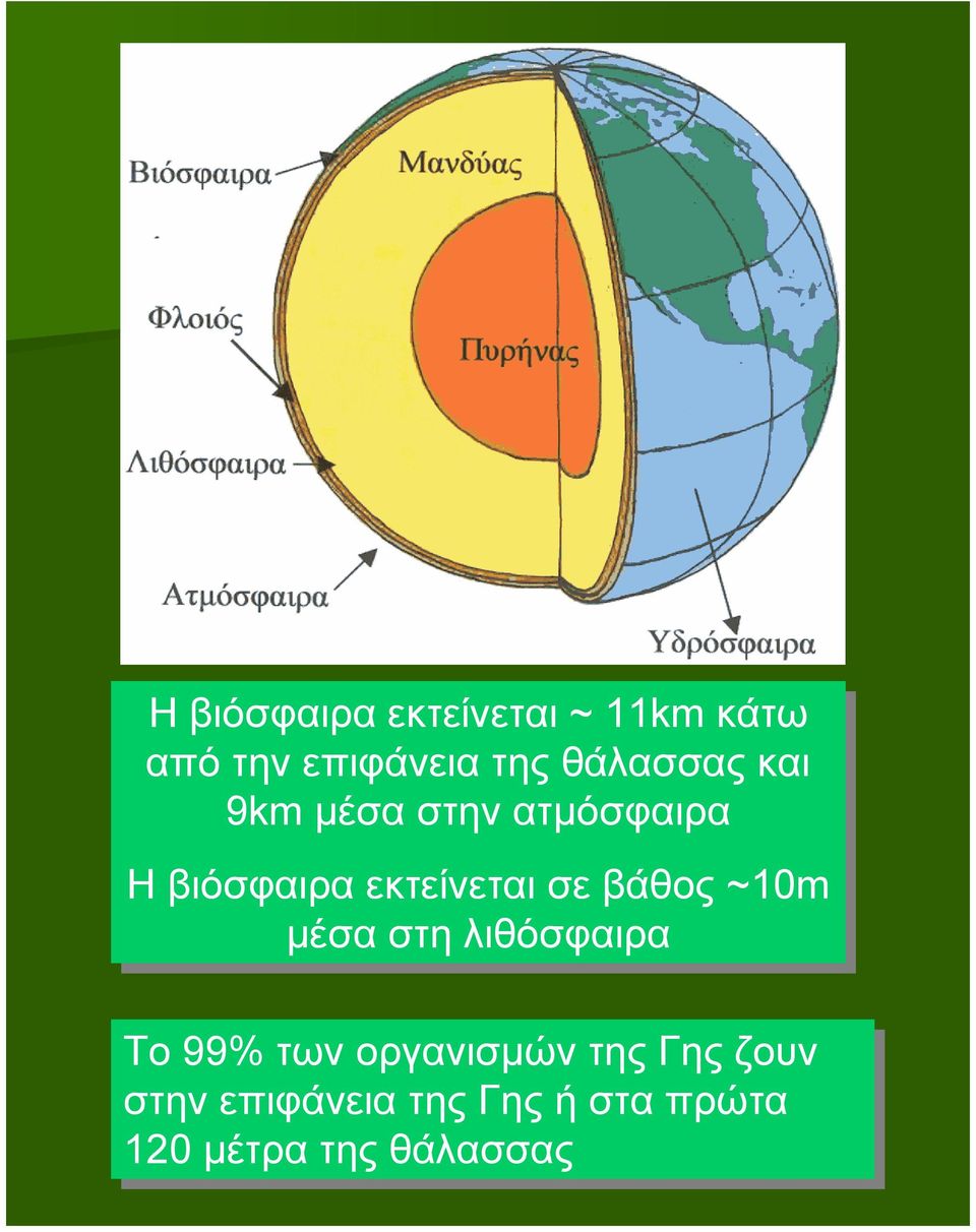 σε σεβάθος ~10m μέσα στη λιθόσφαιρα Το Το99% των οργανισμών