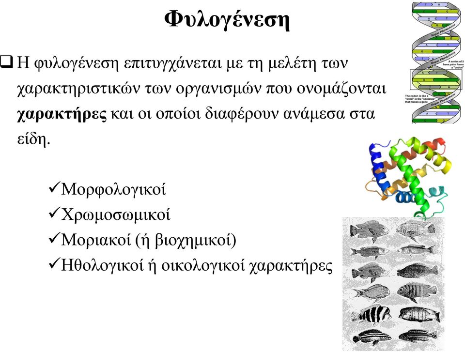 και οι οποίοι διαφέρουν ανάμεσα στα είδη.