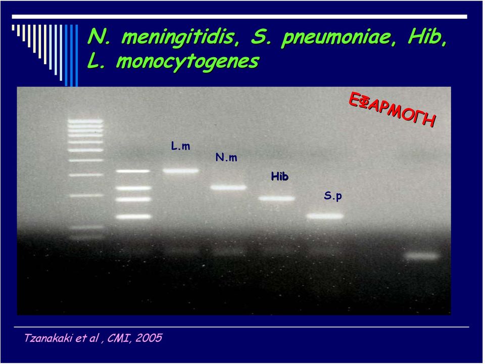 monocytogenes ΕΦΑΡΜΟΓΗ L.