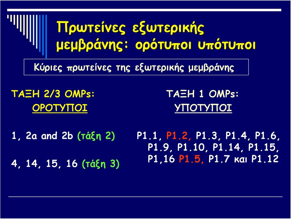 ΥΠΟΤΥΠΟΙ 1, 2a and 2b (τάξη 2) 4, 14, 15, 16 (τάξη 3) P1.1, P1.