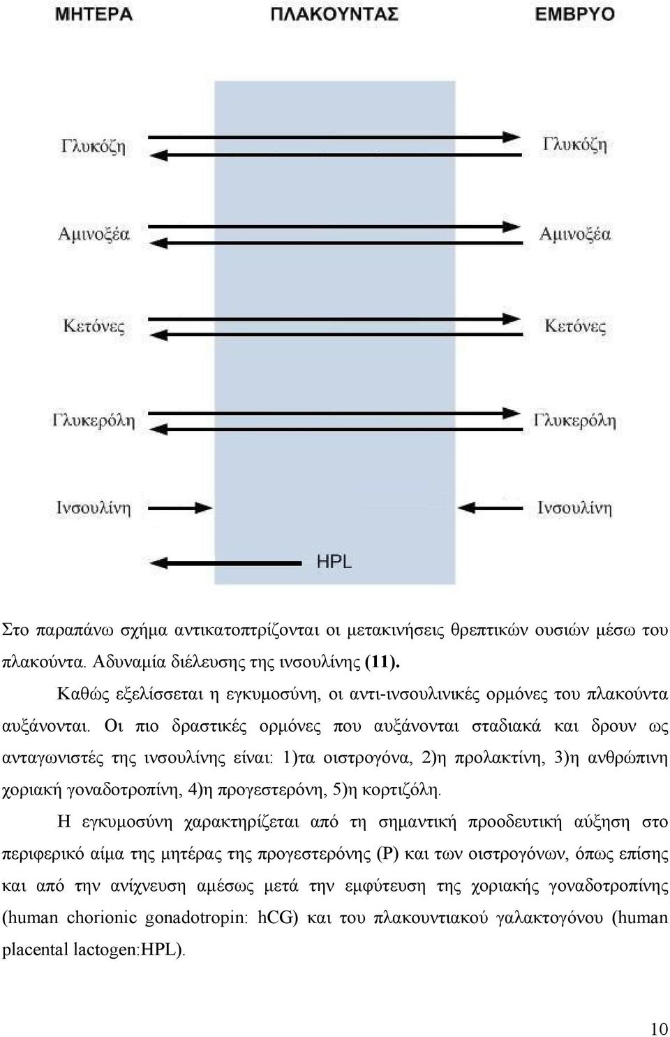 Οι πιο δραστικές ορµόνες που αυξάνονται σταδιακά και δρουν ως ανταγωνιστές της ινσουλίνης είναι: 1)τα οιστρογόνα, 2)η προλακτίνη, 3)η ανθρώπινη χοριακή γοναδοτροπίνη, 4)η προγεστερόνη,