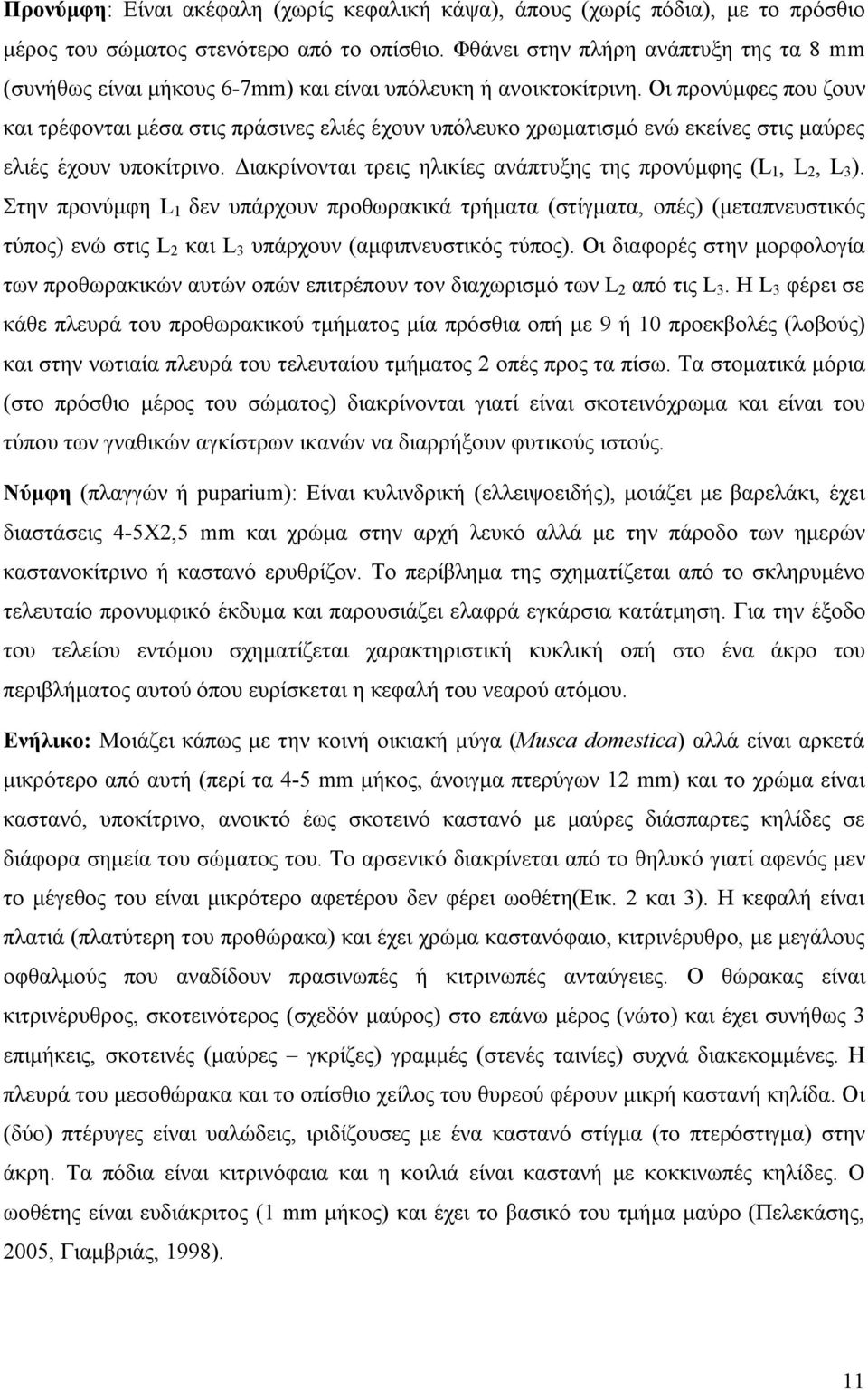 Οι προνύμφες που ζουν και τρέφονται μέσα στις πράσινες ελιές έχουν υπόλευκο χρωματισμό ενώ εκείνες στις μαύρες ελιές έχουν υποκίτρινο.