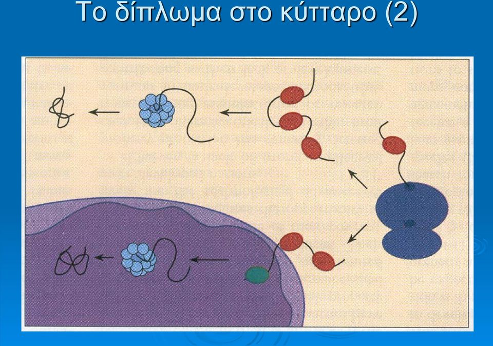 στο