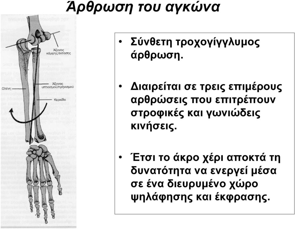 στροφικές και γωνιώδεις κινήσεις.