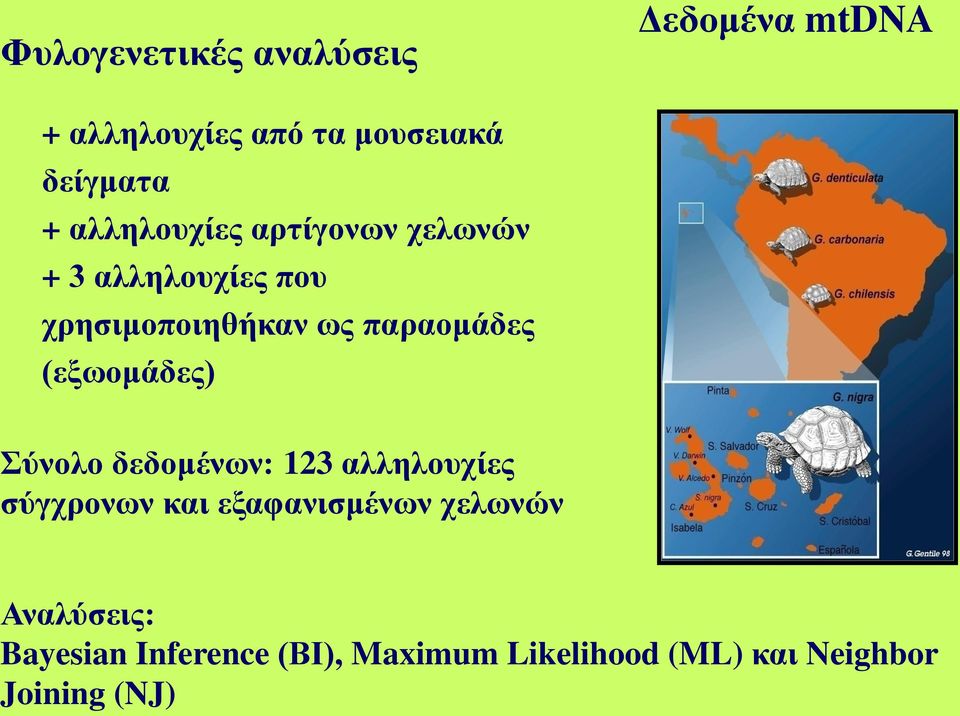 (εξωομάδες) Σύνολο δεδομένων: 123 αλληλουχίες σύγχρονων και εξαφανισμένων χελωνών