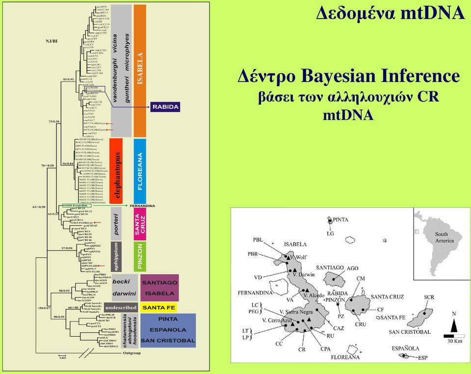 Δέντρο Bayesian