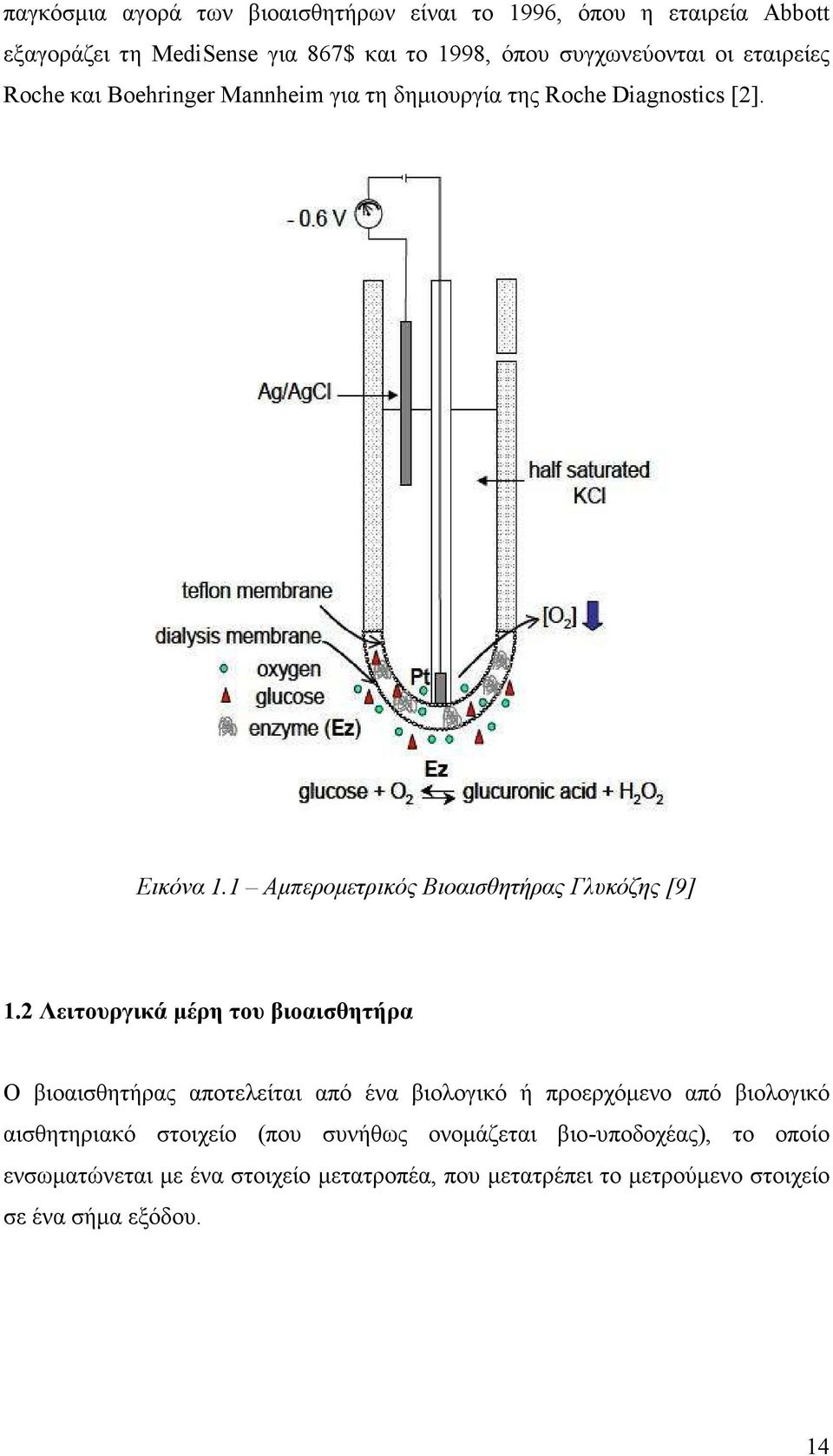 2 Λειτουργικά µέρη του βιοαισθητήρα Ο βιοαισθητήρας αποτελείται από ένα βιολογικό ή προερχόµενο από βιολογικό αισθητηριακό στοιχείο (που