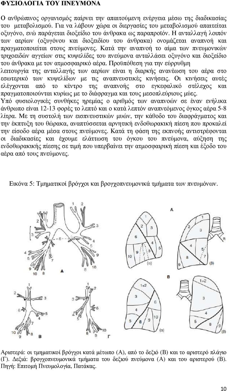 Η ανταλλαγή λοιπόν των αερίων (οξυγόνου και διοξειδίου του άνθρακα) ονομάζεται αναπνοή και πραγματοποιείται στους πνεύμονες.