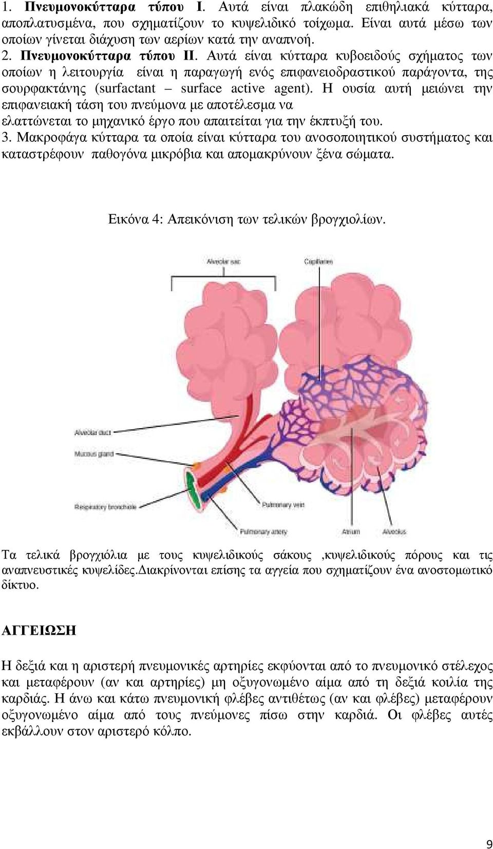 Η ουσία αυτή μειώνει την επιφανειακή τάση του πνεύμονα με αποτέλεσμα να ελαττώνεται το μηχανικό έργο που απαιτείται για την έκπτυξή του. 3.