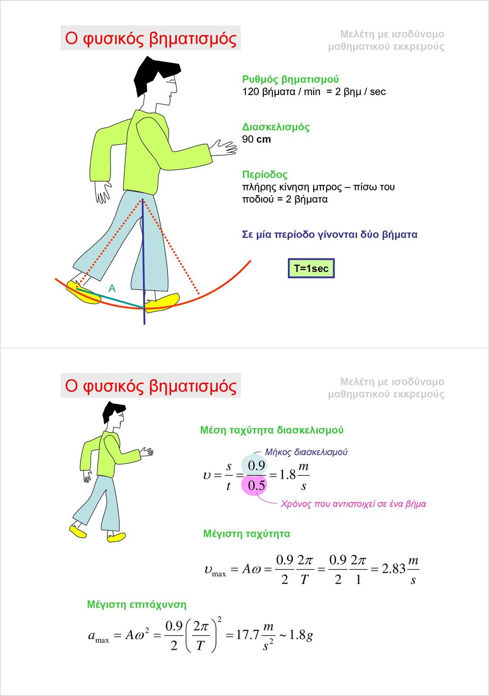 φυσικός βηματισμός Μελέτη με ισοδύναμο μαθηματικού εκκρεμούς Μέση ταχύτητα διασκελισμού υ Μήκος διασκελισμού