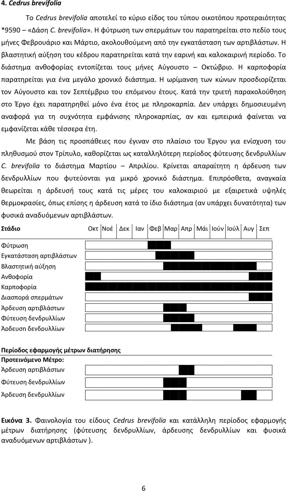 Η βλαστητική αύξηση του κέδρου παρατηρείται κατά την εαρινή και καλοκαιρινή περίοδο. Το διάστημα ανθοφορίας εντοπίζεται τους μήνες Αύγουστο Οκτώβριο.