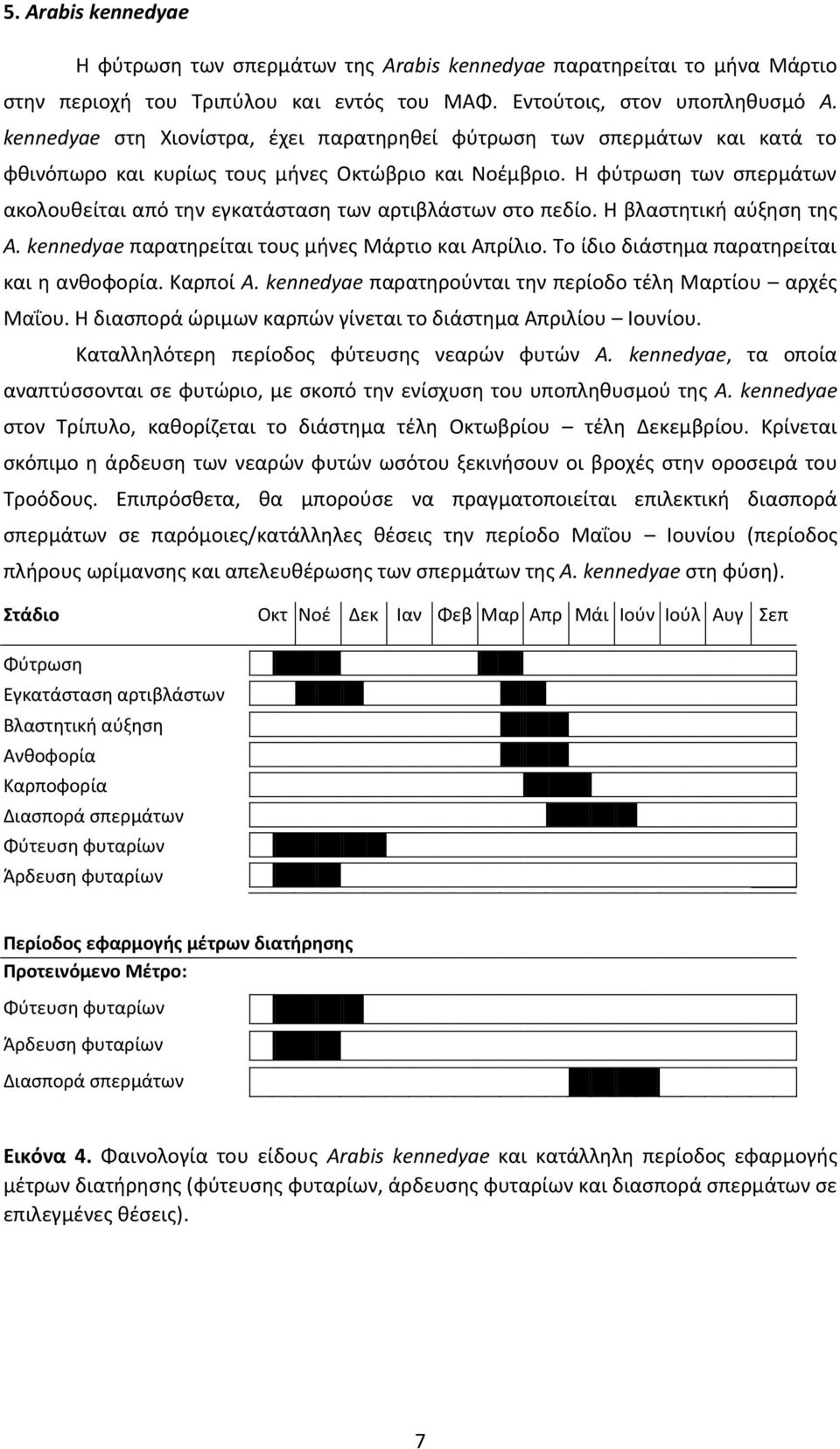 Η φύτρωση των σπερμάτων ακολουθείται από την εγκατάσταση των αρτιβλάστων στο πεδίο. Η βλαστητική αύξηση της A. kennedyae παρατηρείται τους μήνες Μάρτιο και Απρίλιο.