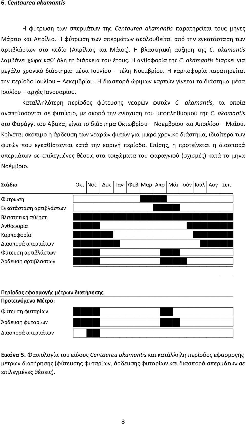 Η ανθοφορία της C. akamantis διαρκεί για μεγάλο χρονικό διάστημα: μέσα Ιουνίου τέλη Νοεμβρίου. Η καρποφορία παρατηρείται την περίοδο Ιουλίου Δεκεμβρίου.