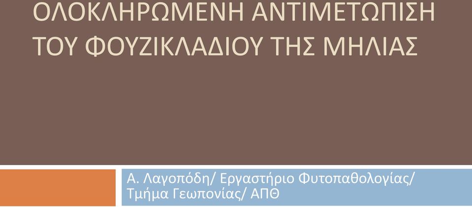 Α. Λαγοπόδη/ Εργαστήριο