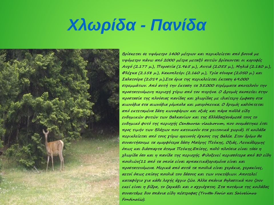 000 στρέμματα αποτελούν την προστατευόμενη περιοχή γύρω από τον πυρήνα.