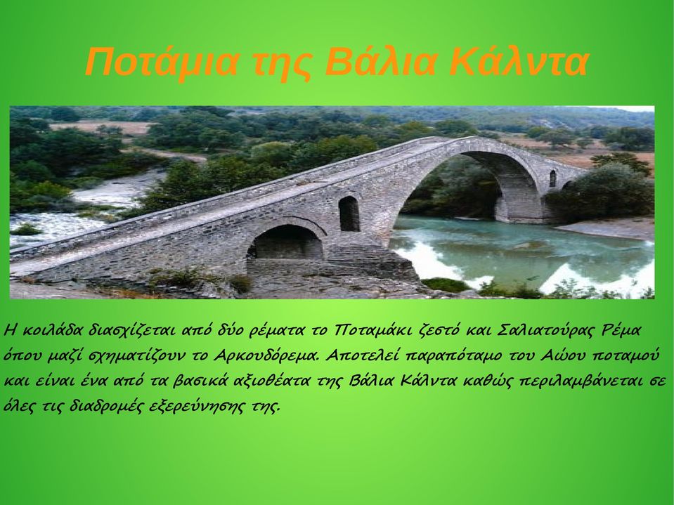 Αποτελεί παραπόταμο του Αώου ποταμού και είναι ένα από τα βασικά