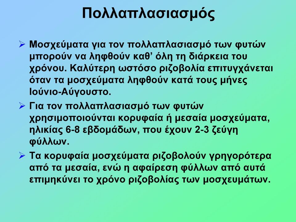 Για τον πολλαπλασιασμό των φυτών χρησιμοποιούνται κορυφαία ή μεσαία μοσχεύματα, ηλικίας 6-8 εβδομάδων, που έχουν 2-3