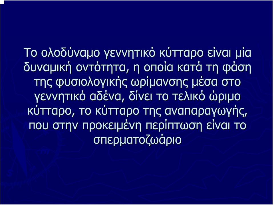 γεννητικό αδένα, δίνει το τελικό ώριμο κύτταρο, το κύτταρο