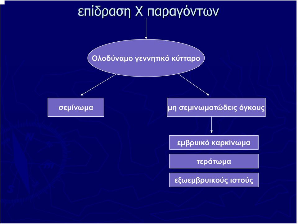 σεμινωματώδεις όγκους εμβρυικό