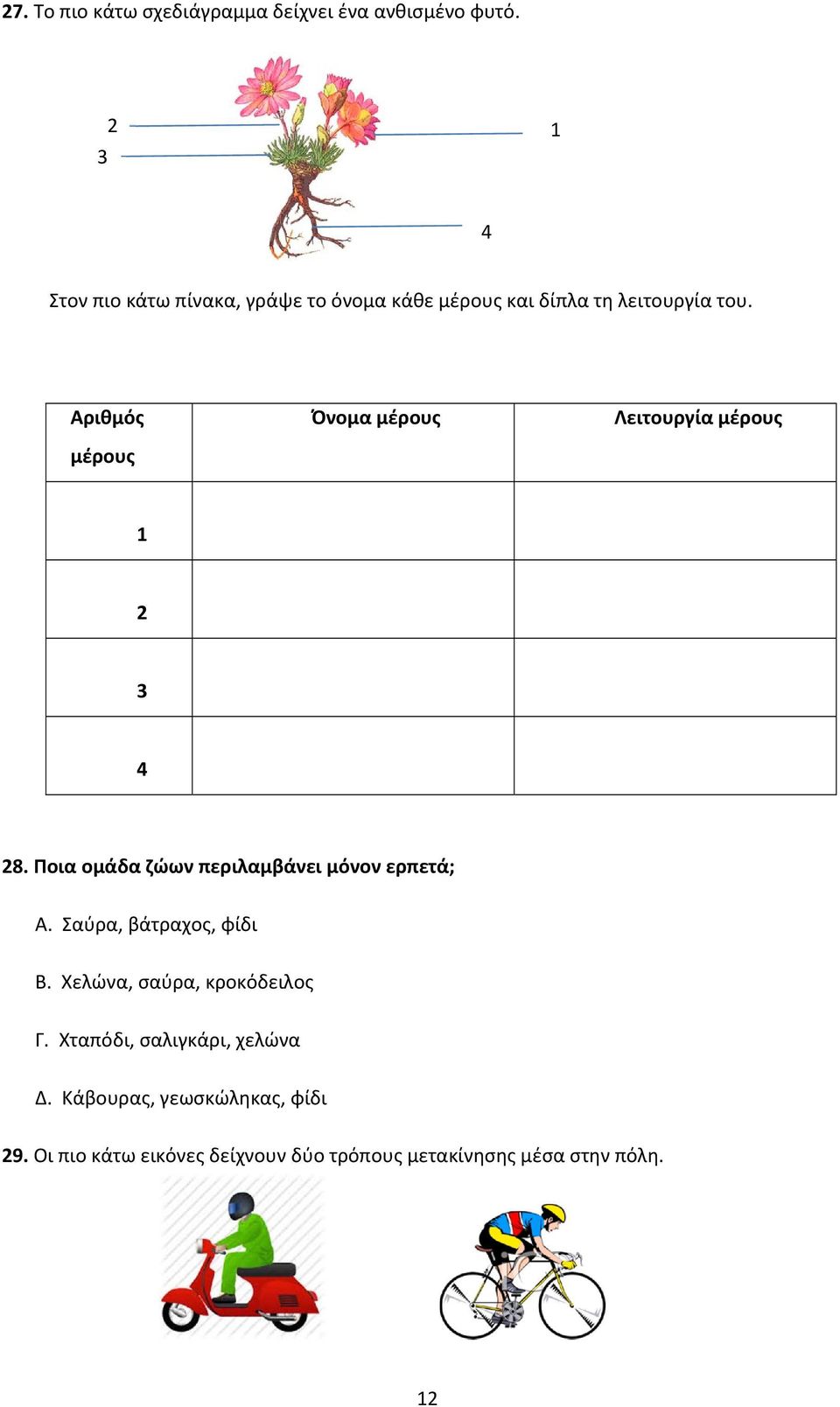 Αριθμός μέρους Όνομα μέρους Λειτουργία μέρους 1 2 3 4 28. Ποια ομάδα ζώων περιλαμβάνει μόνον ερπετά; Α.