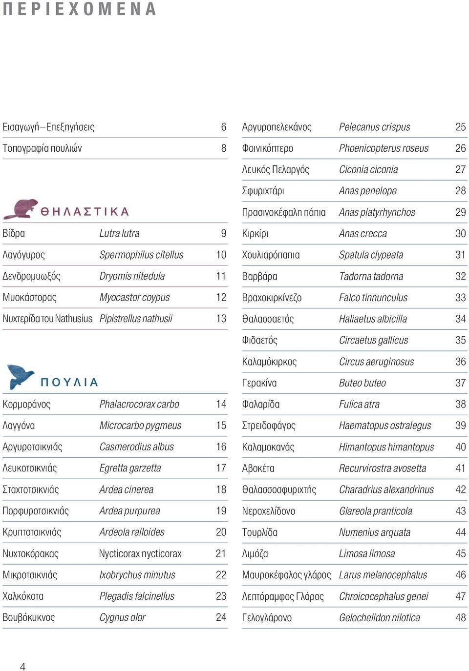 cinerea 18 Πορφυροτσικνιάς Ardea purpurea 19 Κρυπτοτσικνιάς Ardeola ralloides 20 Νυχτοκόρακας Nycticorax nycticorax 21 Μικροτσικνιάς Ixobrychus minutus 22 Χαλκόκοτα Plegadis falcinellus 23