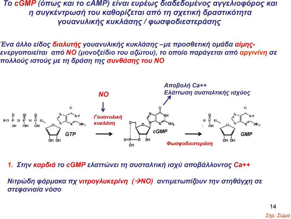 σχετική δραστικότητα γουανυλικής κυκλάσης / φωσφοδιεστεράσης ΝΟ Αποβολή Ca++ Ελάττωση συσταλτικής ισχύος GTP Γουανυλική κυκλάση cgmp Φωσφοδιεστεράση GMP 1.