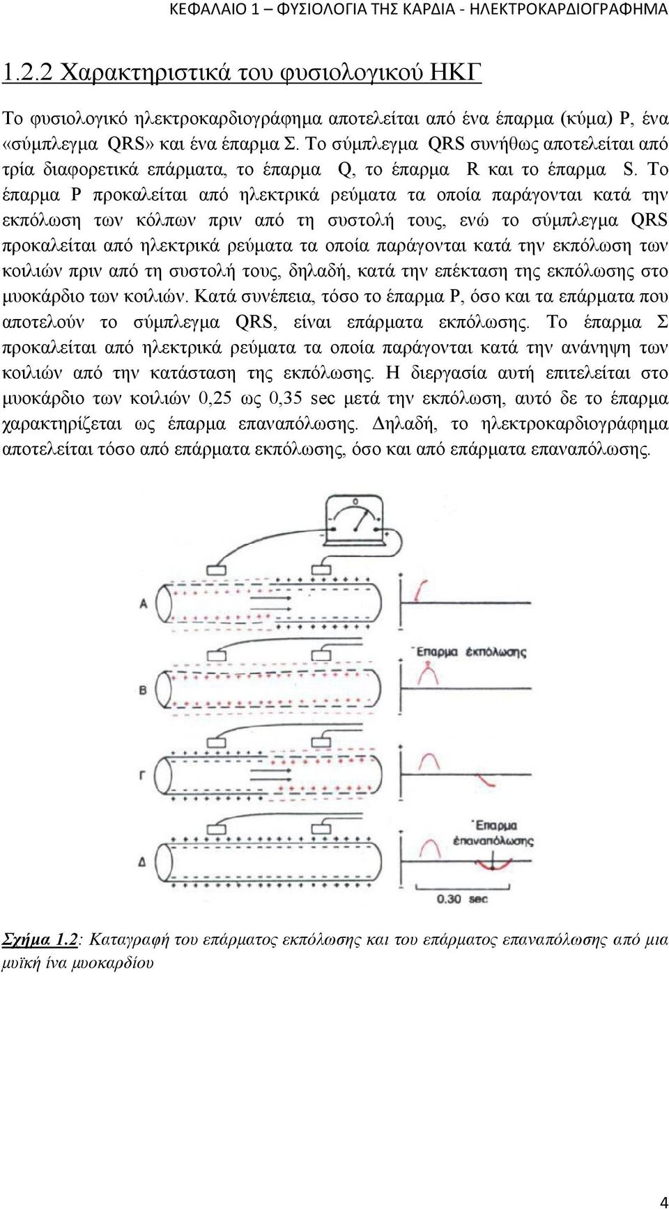 Το σύμπλεγμα QRS συνήθως αποτελείται από τρία διαφορετικά επάρματα, το έπαρμα Q, το έπαρμα R και το έπαρμα S.